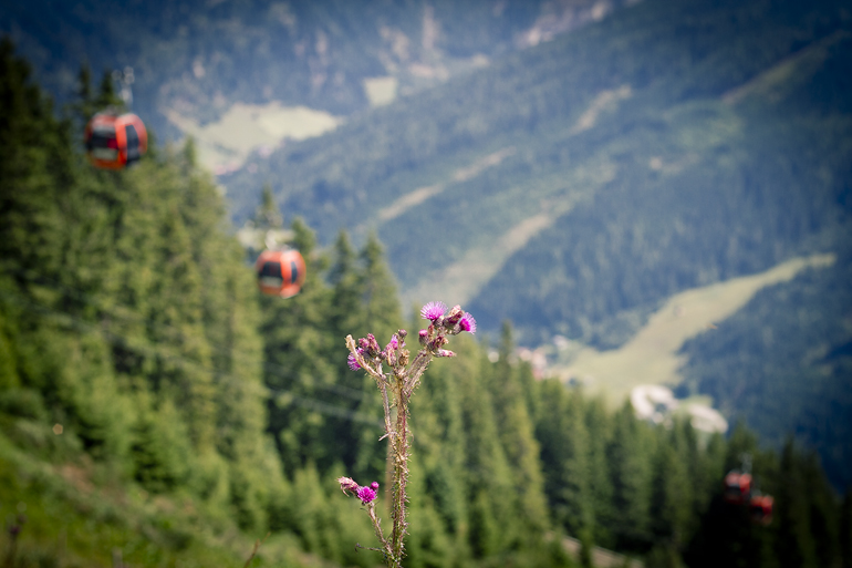 alperna badgastein 26