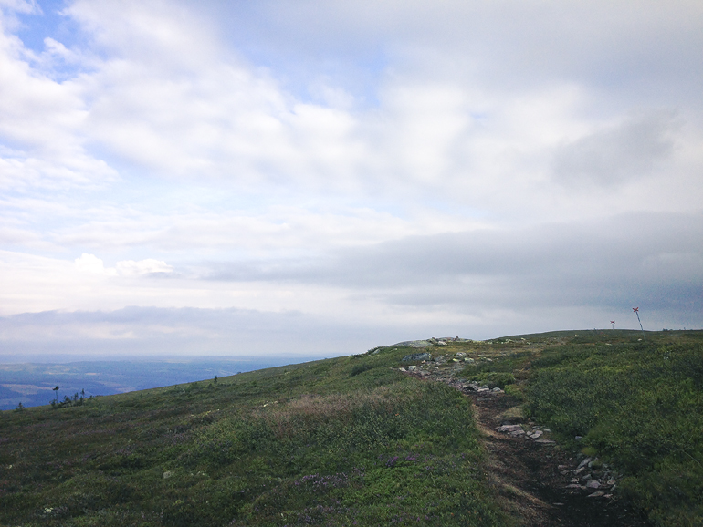 fjällen löpning fjället 8