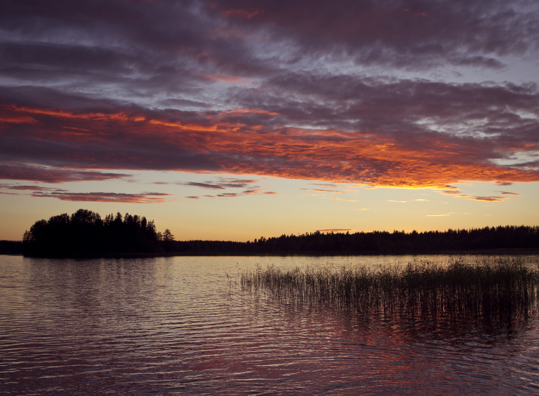 swedish summer 1