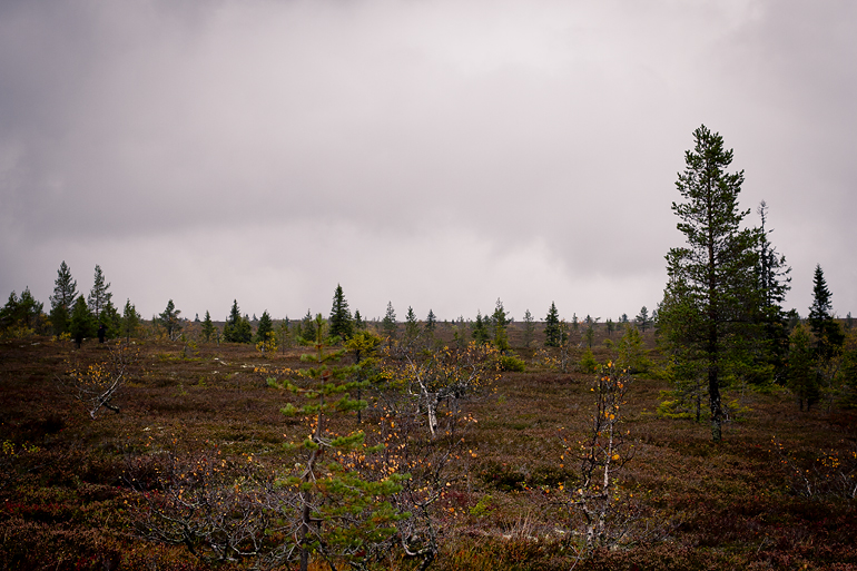 Sälen Östfjälsstugan 1