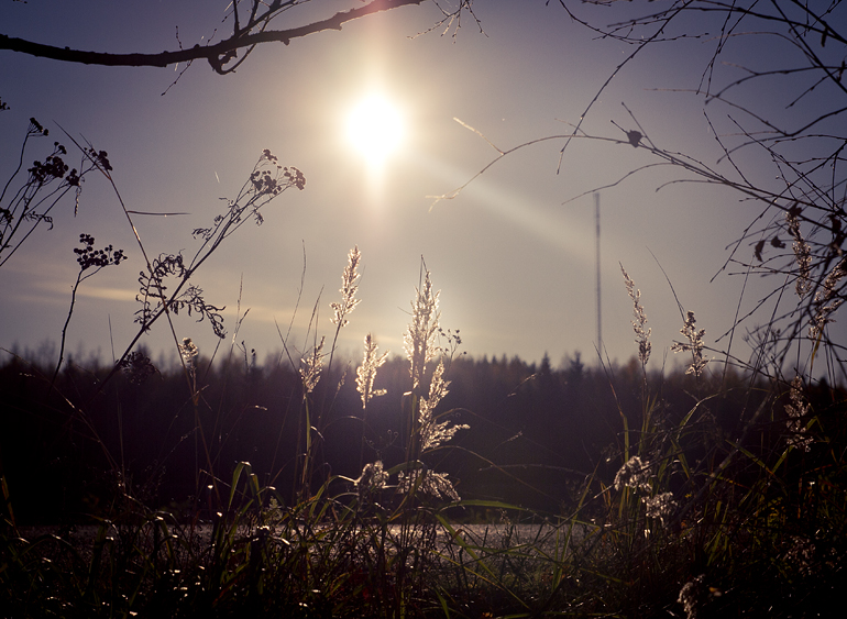 hälsingland höst 2