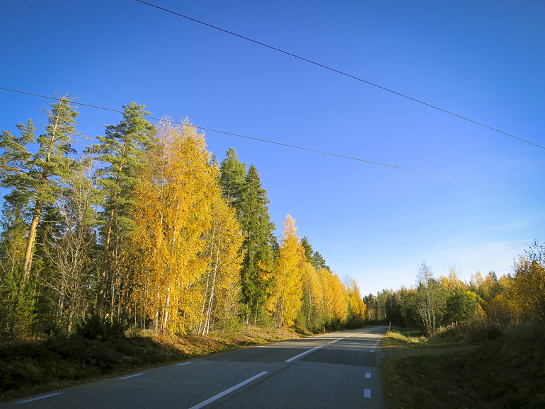 höst cykling 1