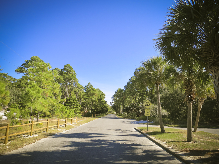 usa 206 running panama city beach state park