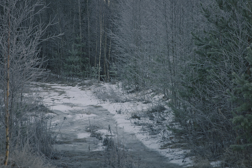 Hälsingland vinter