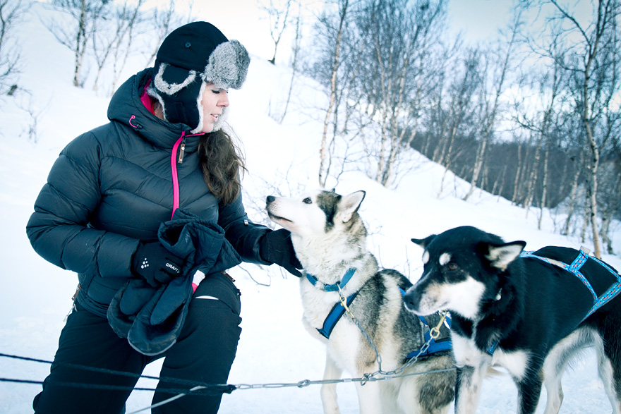 abisko dogsled träningsglädje traningsgladje.se