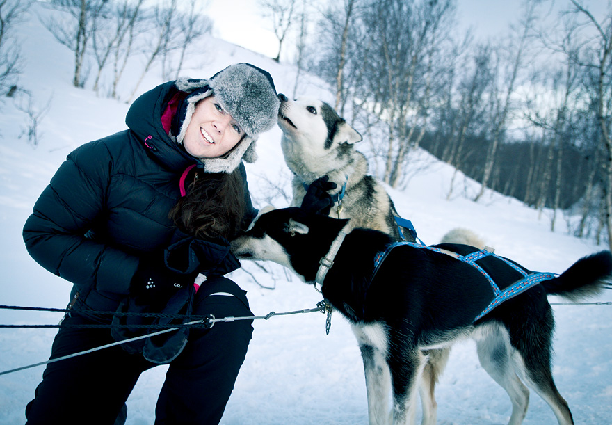 abisko dogsled träningsglädje traningsgladje.se