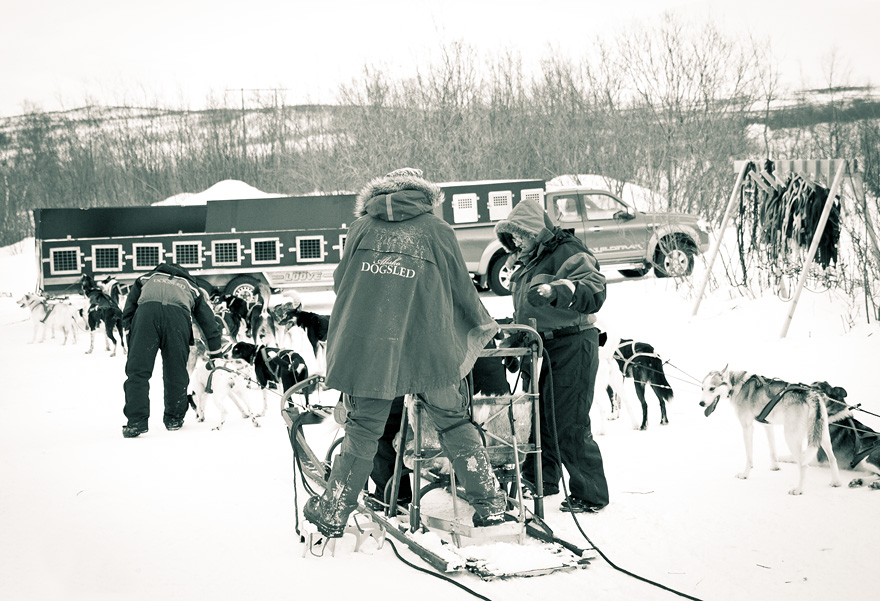 abisko dogsled träningsglädje traningsgladje.se