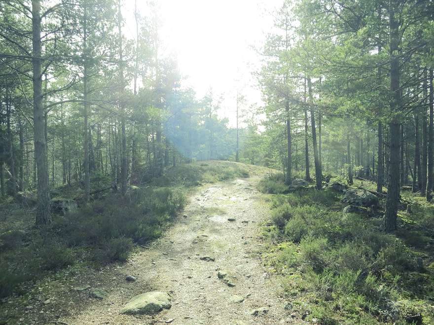 Rudan friluftsområde löpning mtb Sörmlandsleden