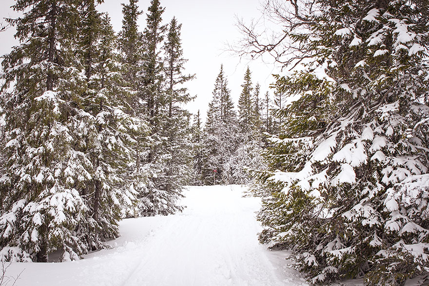 snöskor åre lillåstugan ullådalen