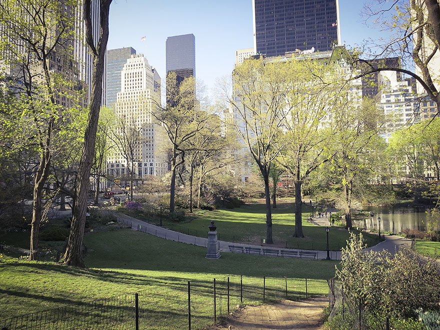 backintervaller i central park