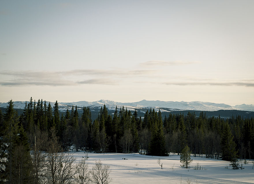 utsikt ullådalen