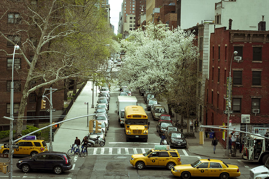 NYC highline