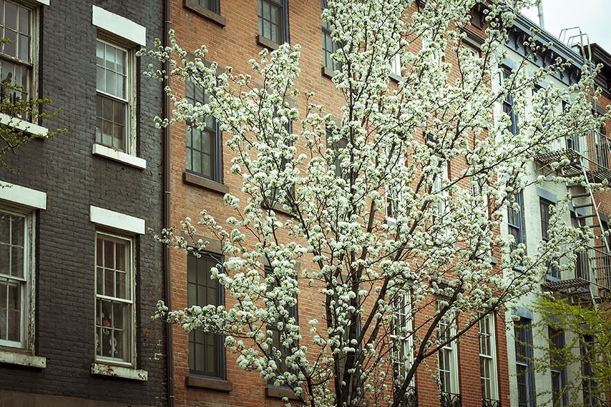 nyc west village