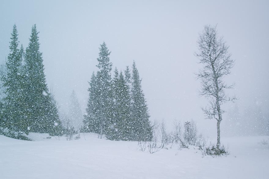 vårtecken i åre