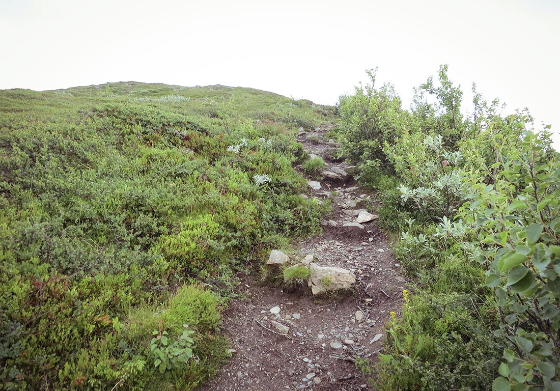 suljätten traningsgladje.se