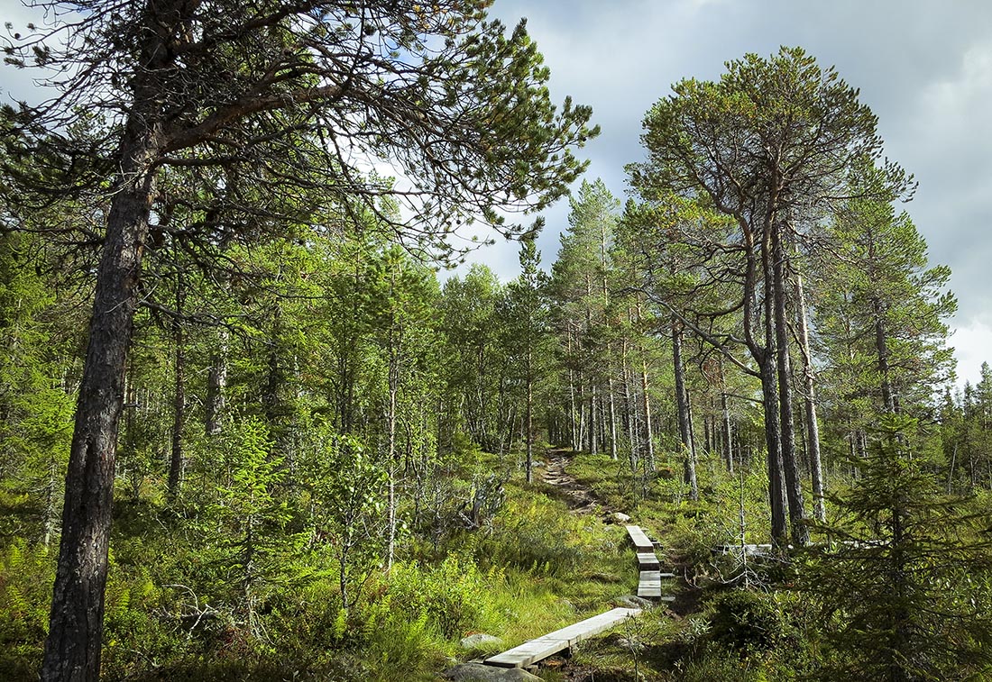 blanktjärnarna vålådalen traningsgladje.se