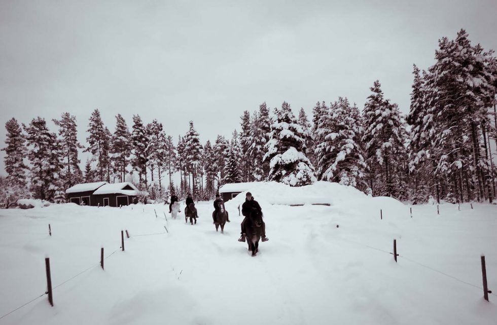 träningsglädje jul