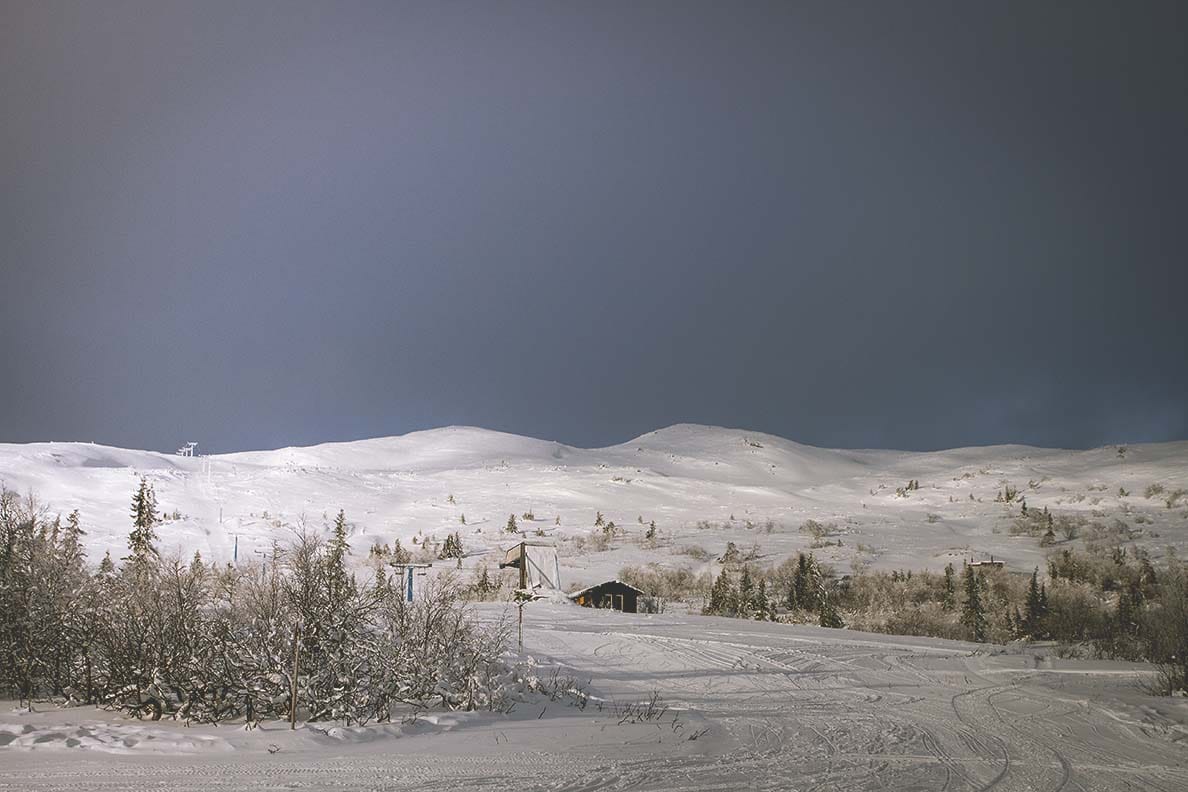 edsåsdalen vita renen åre IMG_7584