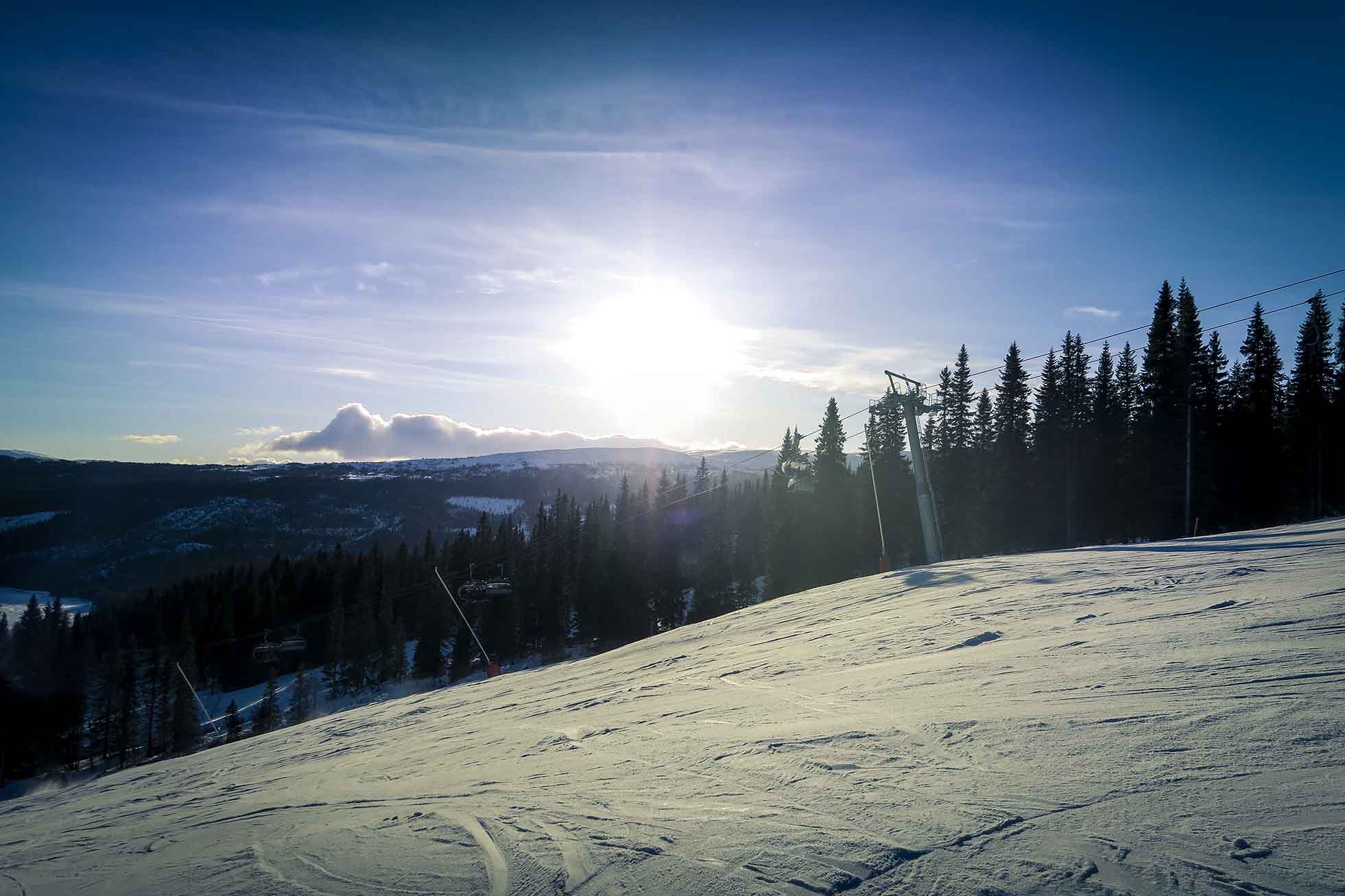 åre björnen IMG_1732