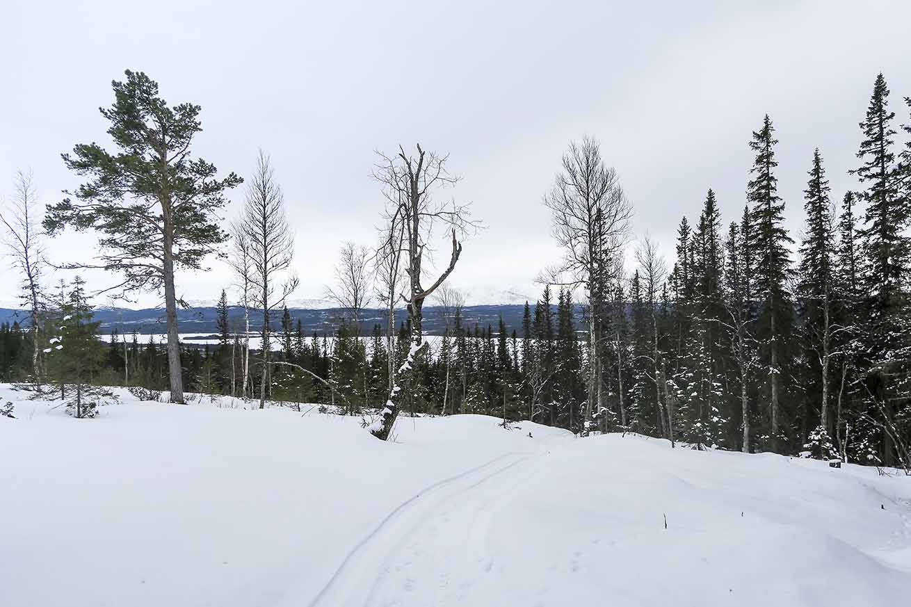 fjällmaraton banan ottsjö 01