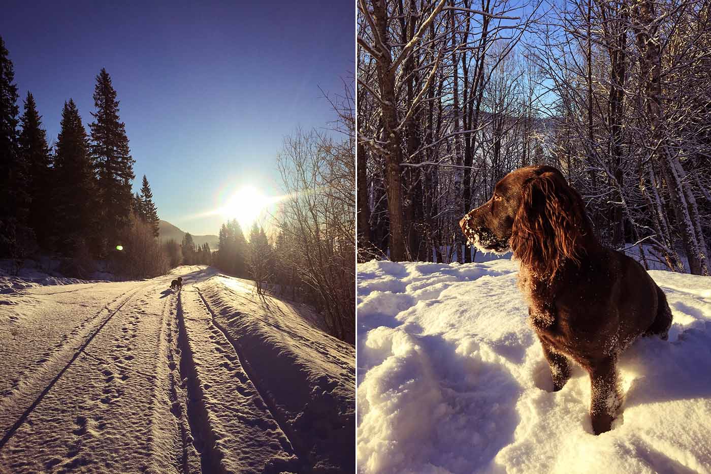 vinter i åre 08