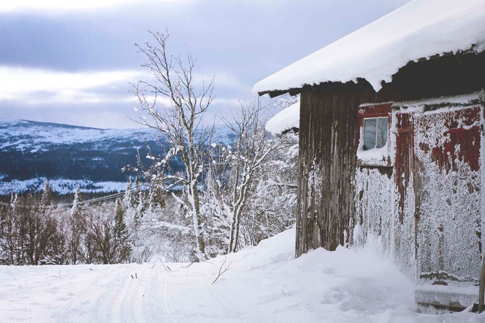 edsåsdalen vita renen sara rönne