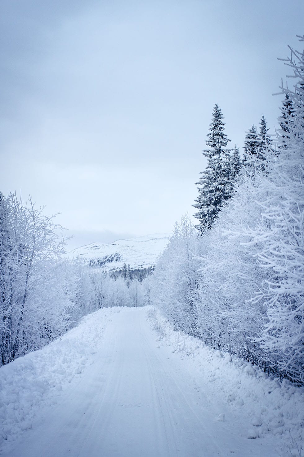 Vinter i Åre Ullådalen