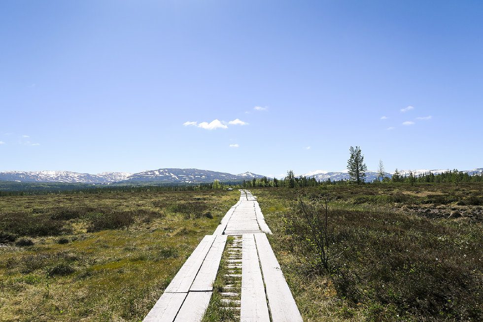 pyramiderna issjödalen