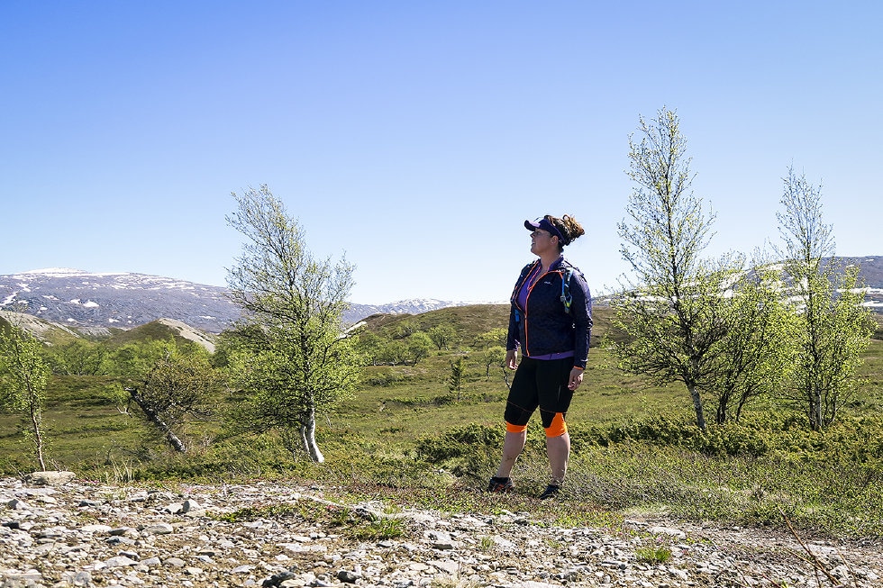 pyramiderna issjödalen