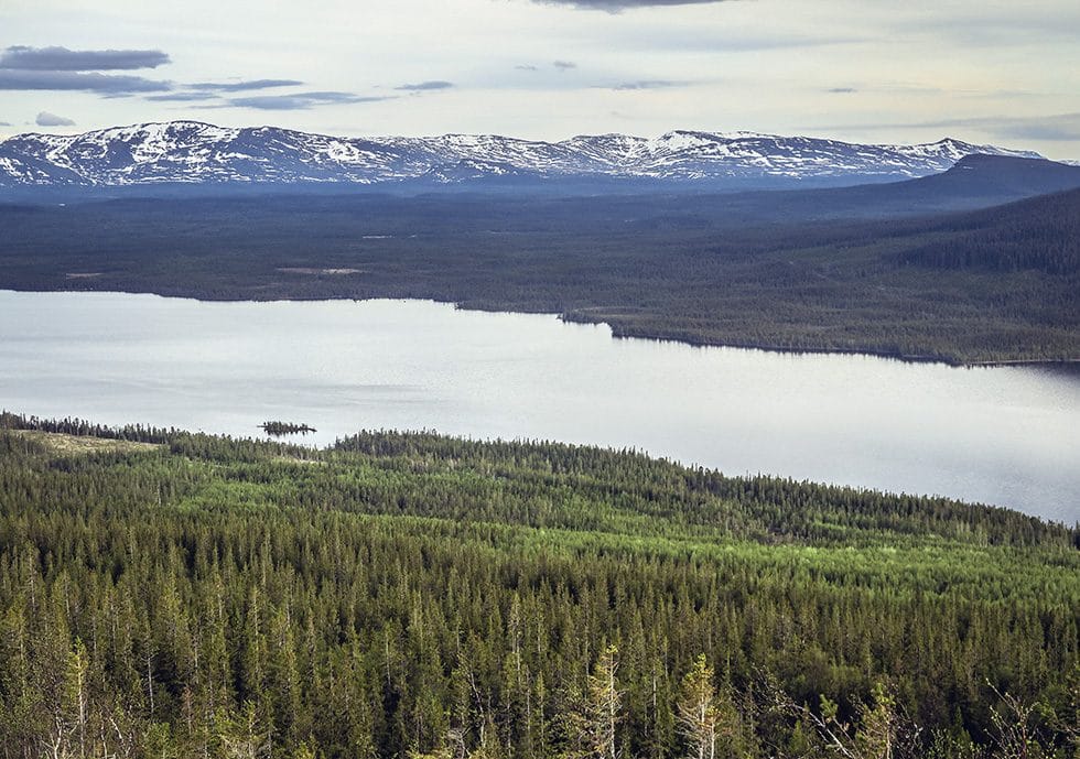 Kläpphögarna led i Ottsjö - bilder från traningsgldje.se