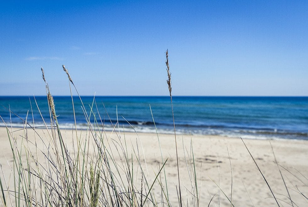 Juleboda strand Österlen