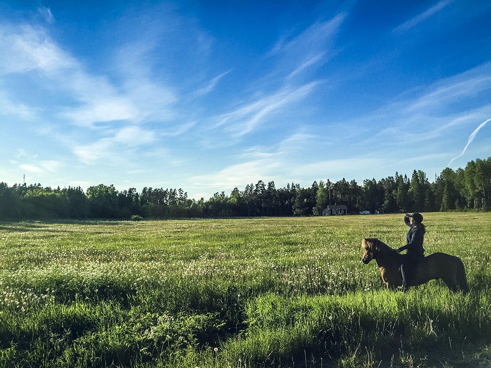 Snäcksjöns islandshästar Öregrund