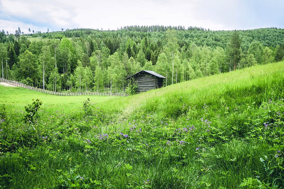 eggaspåret skålsjögården