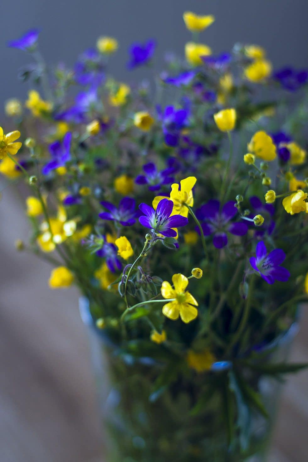 midsommar blommor IMG_9723