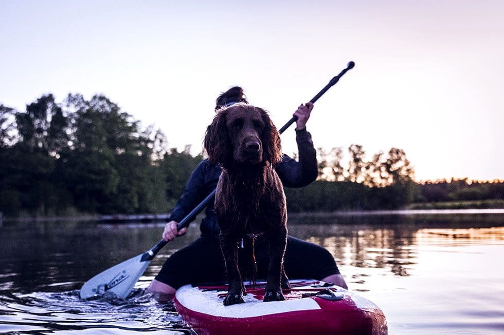 stand up paddling