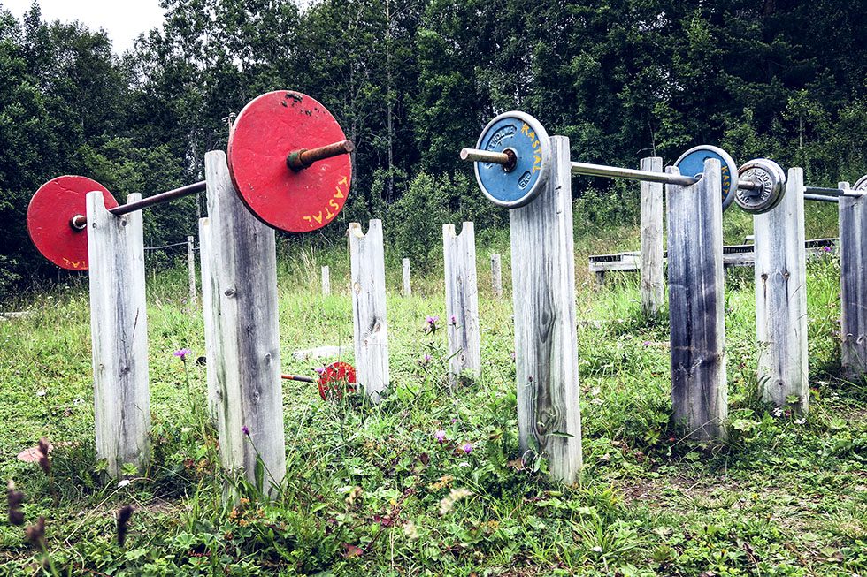 Frösö park trail run