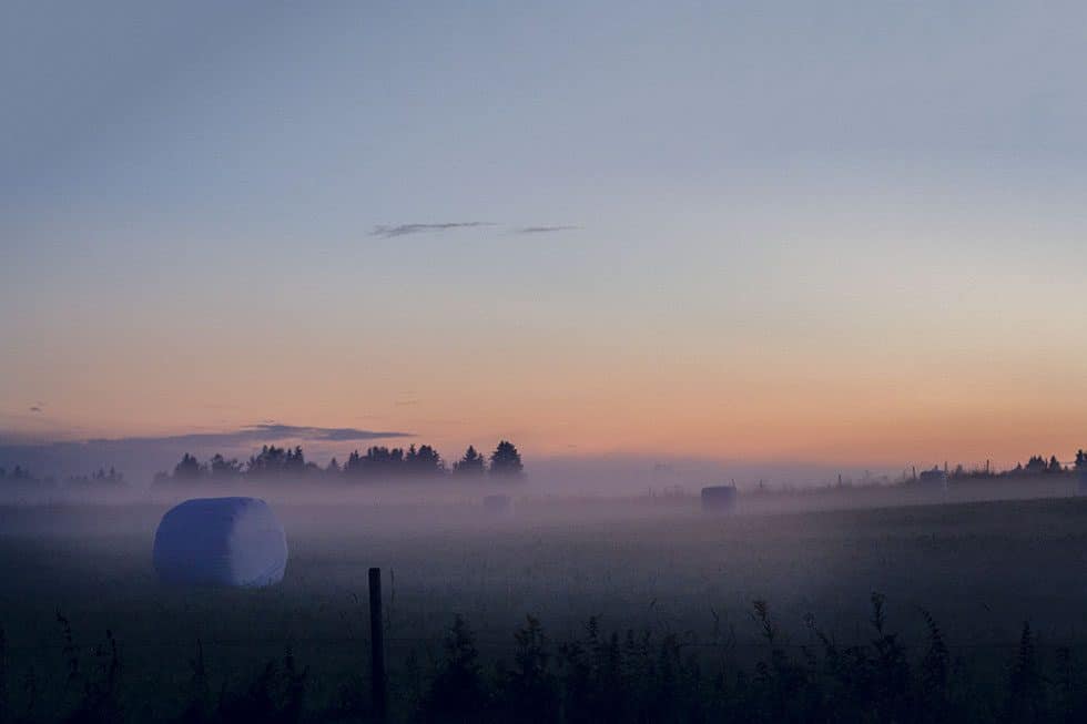 Hälsingland skog natt Los