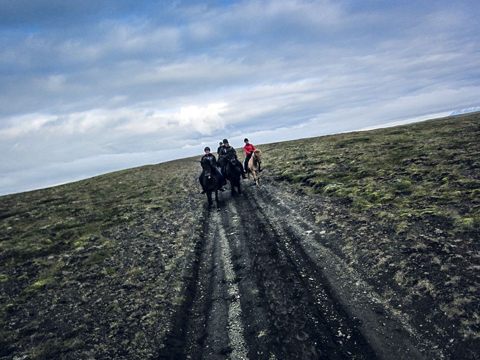 Islandshästar - ridning på Island