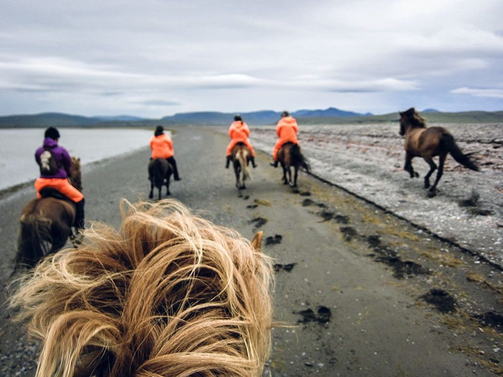 Islandshästar - ridning på Island