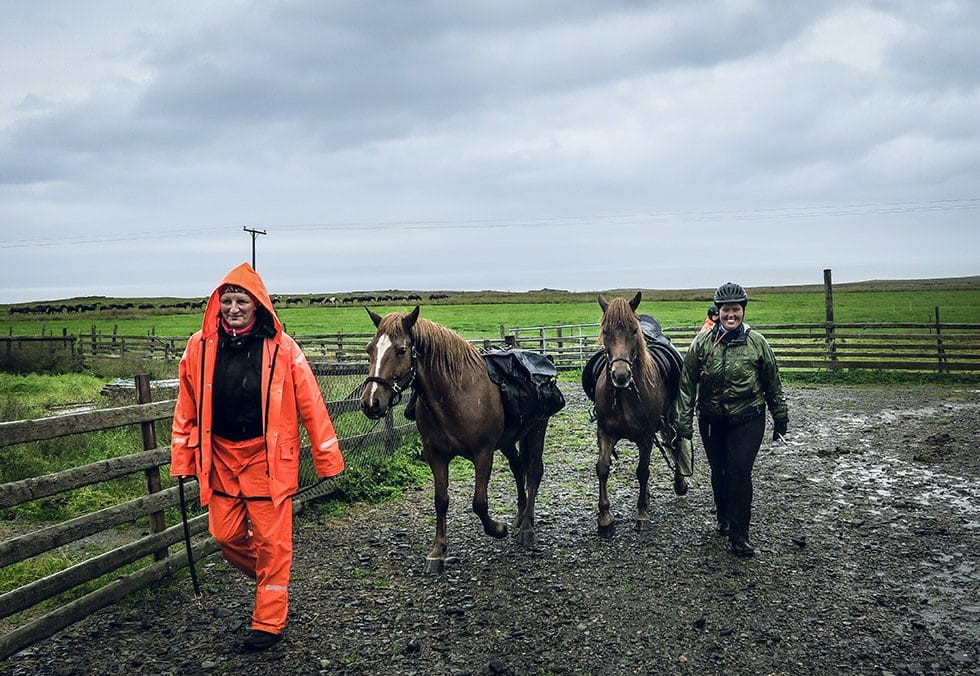 Islandshästar - ridning på Island