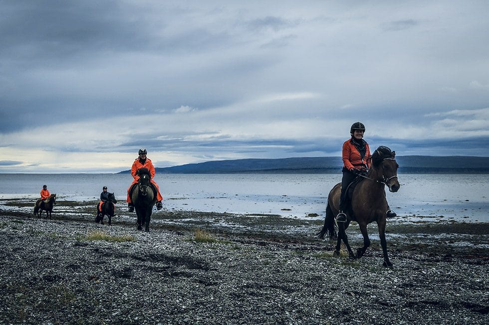 Islandshästar - ridning på Island