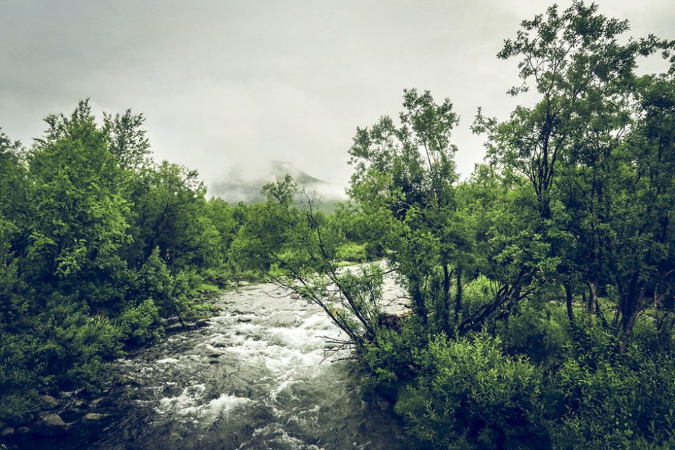 kungsleden nikkaluokta