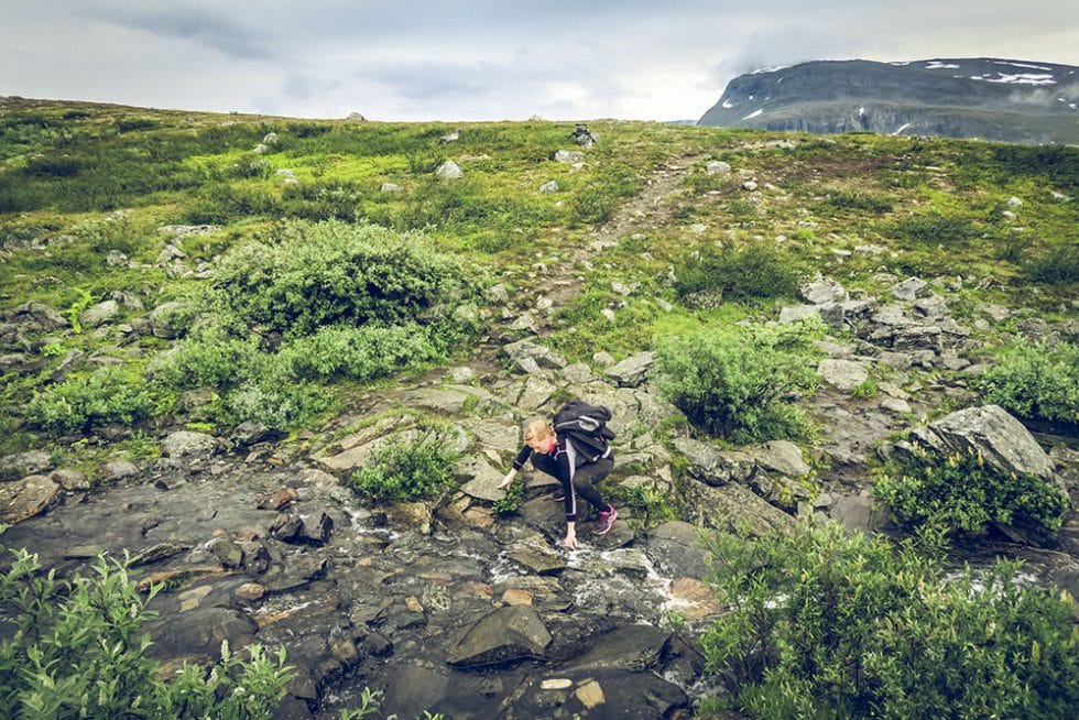 springa kungsleden