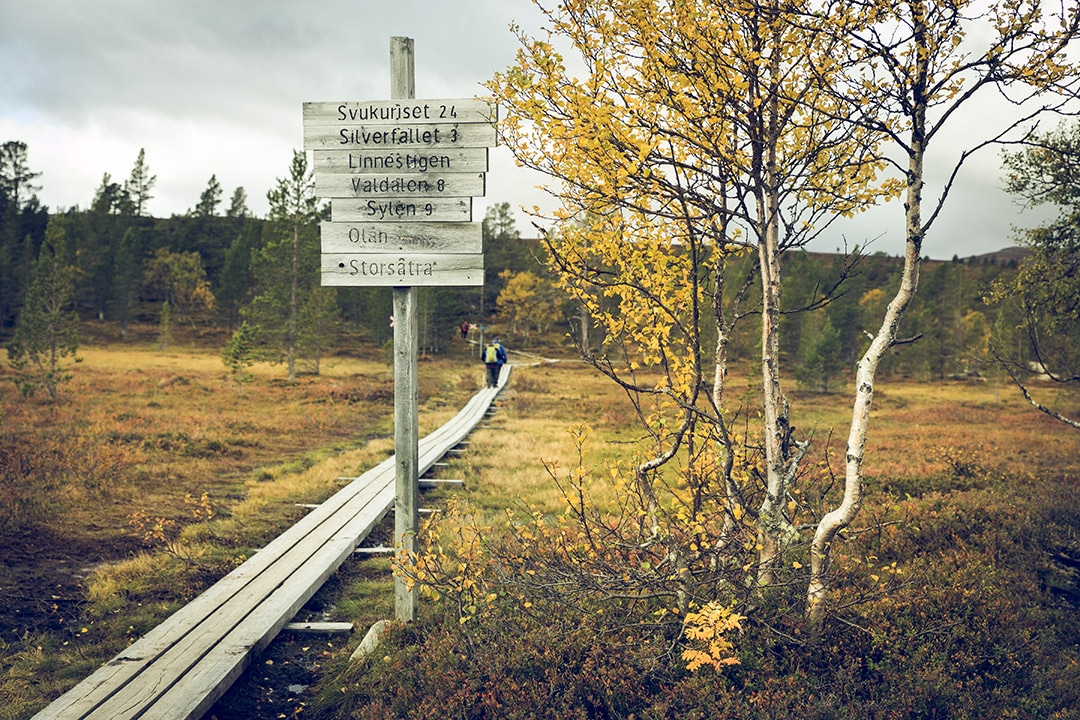 STF GRÖVELSJÖN