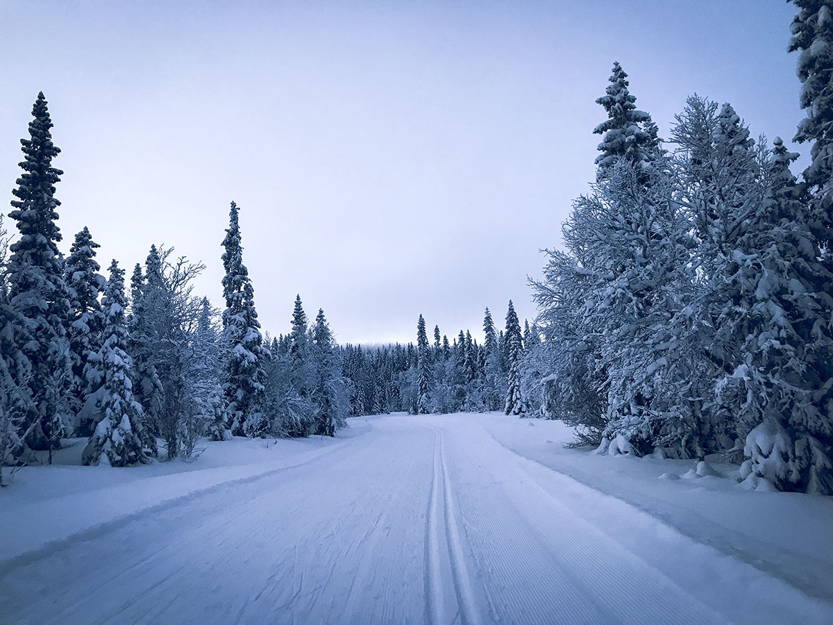 Edsåsdalen