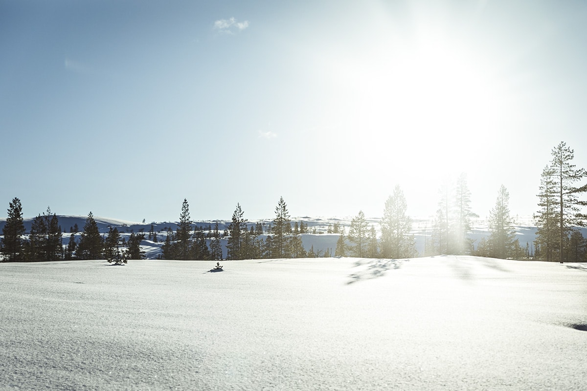 skoter dalarna