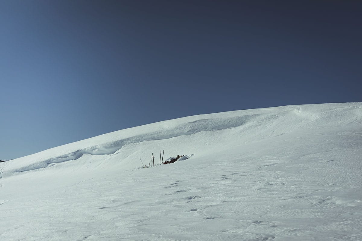 Åre Duved Forsaskalet