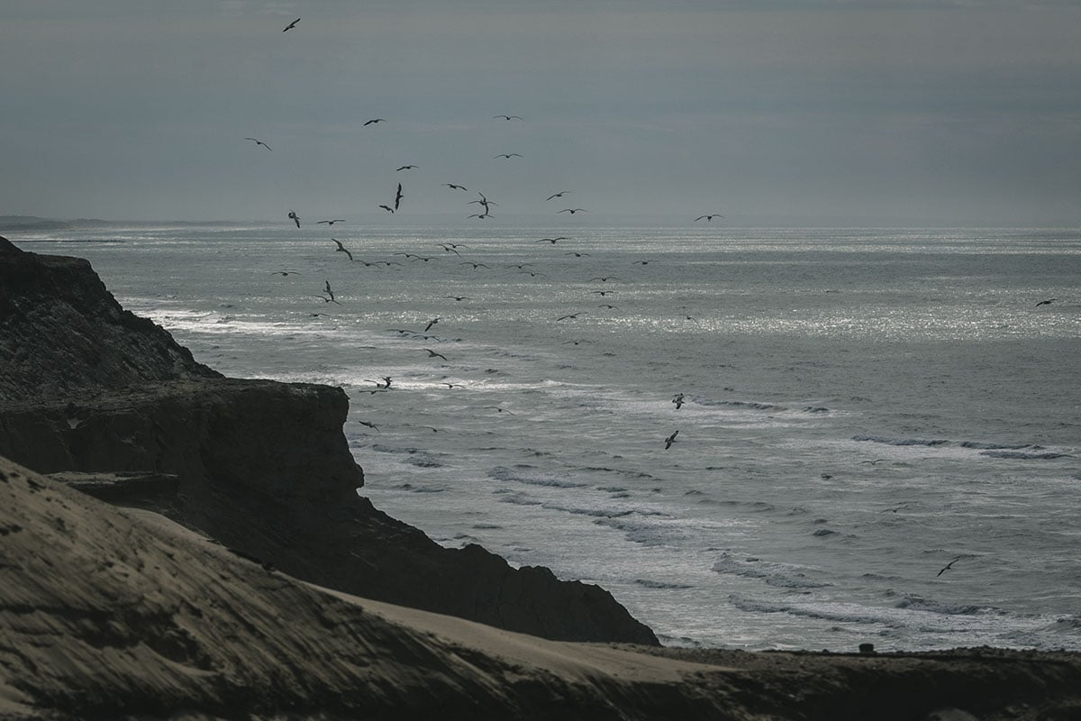 Rubjerg Knude Fyr