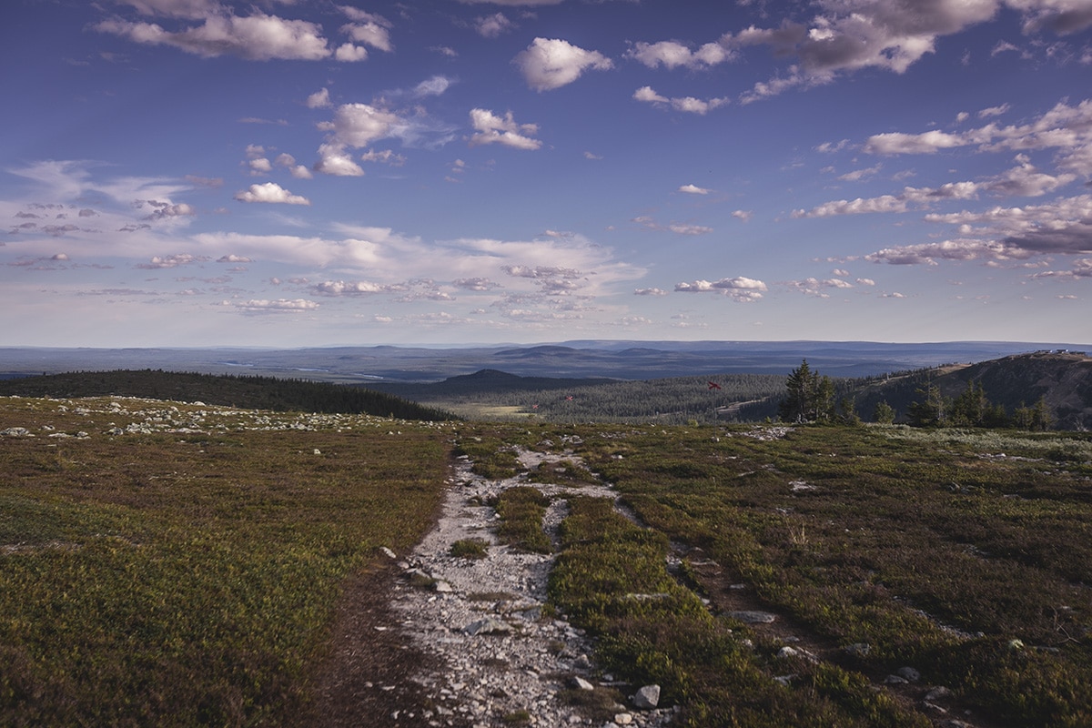 städjan