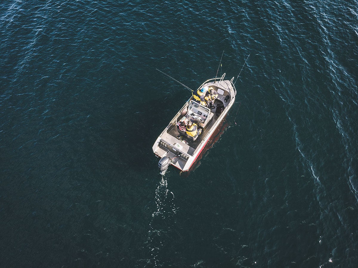 Sula rorbuer og havhotell fiske